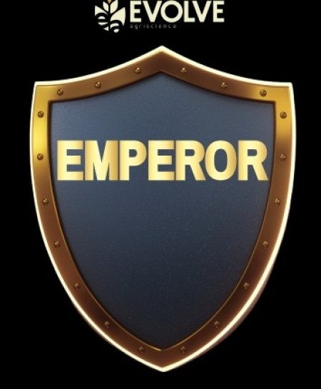 EMPEROR 1L-EVOLVE